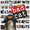 Bad Cat Wall Calendar 2013
