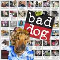 Bad Dog Wall Calendar 2013