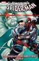Spider-man: The Complete Ben Reilly Epic Book 5