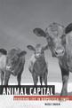 Animal Capital: Rendering Life in Biopolitical Times