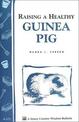 Raising a Healthy Guinea Pig: Storey's Country Wisdom Bulletin  A.173