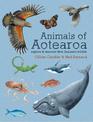 Animals of Aotearoa: Explore & discover New Zealand's wildlife