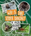 Why Is That Spider Dancing?: The Amazing Arachnids of Aotearoa