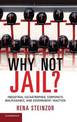 Why Not Jail?: Industrial Catastrophes, Corporate Malfeasance, and Government Inaction