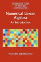 Numerical Linear Algebra: An Introduction