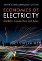 Economics of Electricity: Markets, Competition and Rules