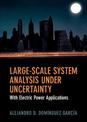 Large-Scale System Analysis Under Uncertainty: With Electric Power Applications