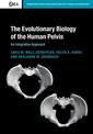 The Evolutionary Biology of the Human Pelvis: An Integrative Approach