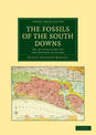 The Fossils of the South Downs: Or, Illustrations of the Geology of Sussex