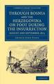 Through Bosnia and the Herzegovina on Foot during the Insurrection, August and September 1875: With an Historical Review of Bosn