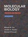 Molecular Biology: Principles and Practice 2e & Launchpad for Cox's Molecular Biology (1-Term Access)