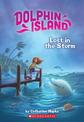 Lost in the Storm (Dolphin Island #2): Volume 2