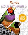 Large Print Colour by Numbers Birds: Easy-to-Read
