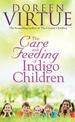 The Care And Feeding Of Indigo Children