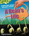 A Bean's Life: Age 6-7, below average readers