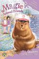 Magic Animal Friends: Phoebe Paddlefoot Makes a Splash: Book 18