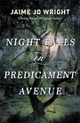 Night Falls on Predicament Avenue (Large Print)