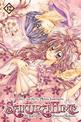 Sakura Hime: The Legend of Princess Sakura, Vol. 12