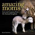 Amazing Moms: Love and Lessons From the Animal Kingdom