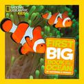 Little Kids First Big Book of The Ocean (National Geographic Kids)