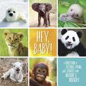 Hey, Baby! (Stories & Poems)