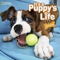 It's a Puppy's Life  (Animals)