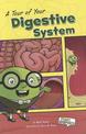 A Tour of Your Digestive System (First Graphics: Body Systems)