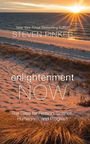 Enlightenment Now: The Case for Reason, Science, Humanism, and Progress (Large Print)