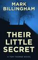 Their Little Secret (Large Print)