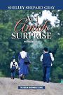 An Amish Surprise (Large Print)