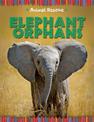 Animal Rescue: Elephant Orphans