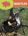 Really Weird Animals: Beetles