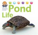 Nora the Naturalist's Animals: Pond Life
