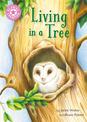 Reading Champion: Living in a Tree: Independent Reading Non-Fiction Pink 1a