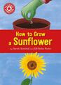 Reading Champion: How to Grow a Sunflower: Independent Reading Non-fiction Red 2