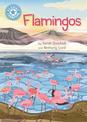 Reading Champion: Flamingos: Independent Reading Non-Fiction Blue 4