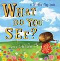 What Do You See?: A Lift-The-Flap Book