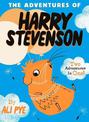 The Adventures of Harry Stevenson