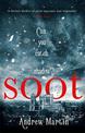 Soot: The Times's Historical Fiction Book of the Month