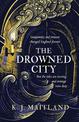 The Drowned City: Treason. Lies. Conspiracy. One man must uncover the truth.