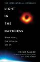 Light in the Darkness: Black Holes, The Universe and Us
