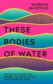 These Bodies of Water: A Personal History of the British Empire in the Middle East