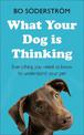 What Your Dog Is Thinking: Everything you need to know to understand your pet
