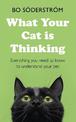 What Your Cat Is Thinking: Everything you need to know to understand your pet