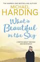 What is Beautiful in the Sky: A book about endings and beginnings