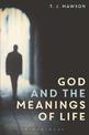 God and the Meanings of Life: What God Could and Couldn't Do to Make Our Lives More Meaningful