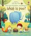 Very First Questions and Answers What is poo?
