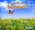 What Can You See in Summer? (Seasons)