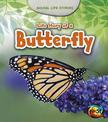 Life Story of a Butterfly (Animal Life Stories)