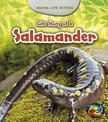 Life Story of a Salamander (Animal Life Stories)